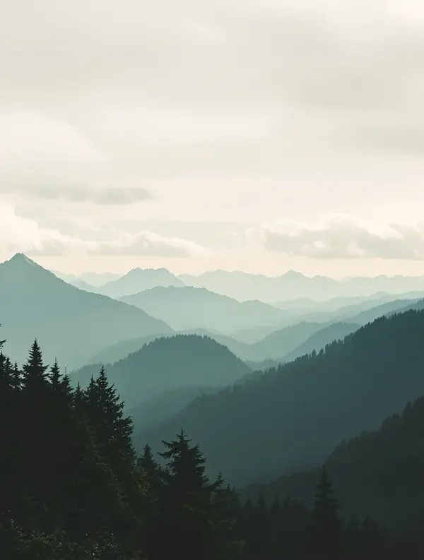 远山的呼唤 海报封面